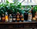 Antique table with benzoin perfume bottles, candles, and green plants creating an elegant display.