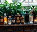 Antique table with benzoin perfume bottles, candles, and green plants creating an elegant display.