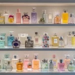 modern and classic female perfume brands in the