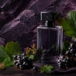 Blackcurrant perfume with berries and leaves