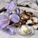 Iris rhizomes and flowers used in orris perfume