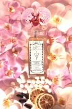 IRFE HERITAGE MY BRITAIN LORD & LADY  Eau de Parfum Spray 100ml - image 16