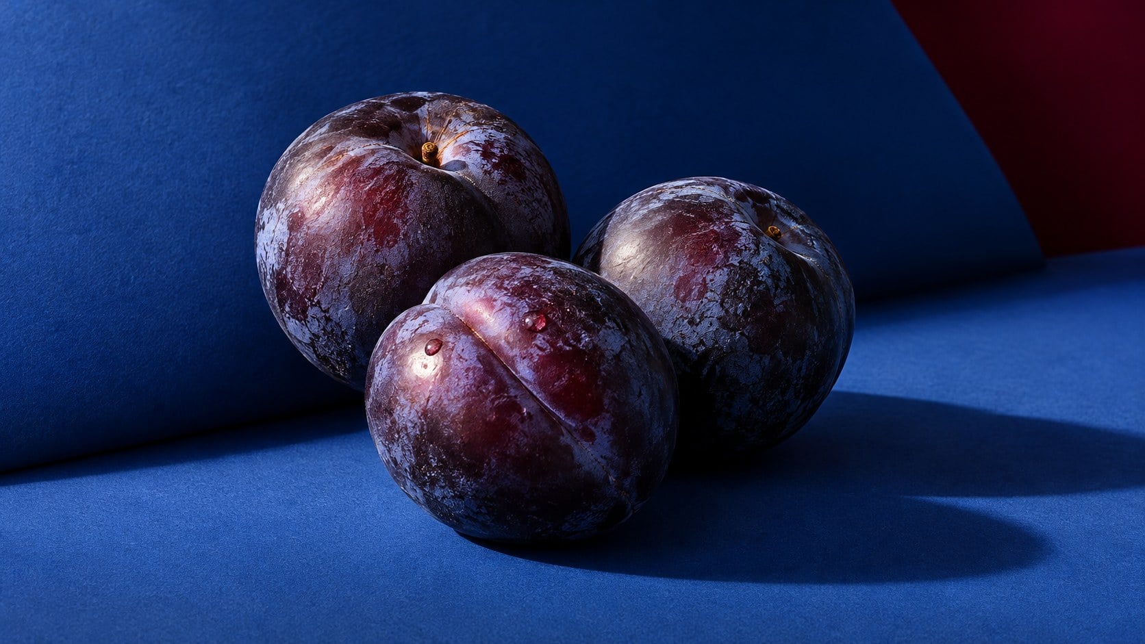 Three dark-purple plums with pale natural bloom